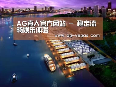 案例展示八