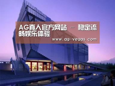 案例展示六