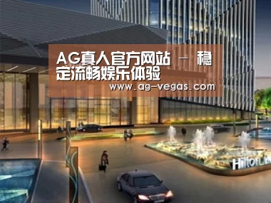 案例展示二