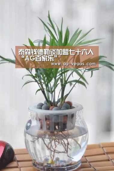 泰森钱德勒谈加盟七十六人“AG百家乐”(图3) AG真人