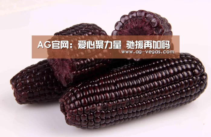 AG官网:爱心聚力量 驰援再加码(图3) AG娱乐