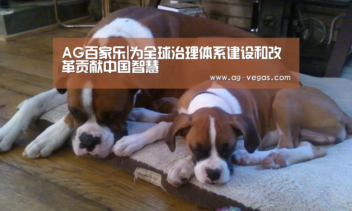AG百家乐|为全球治理体系建设和改革贡献中国智慧(图2) AG真人