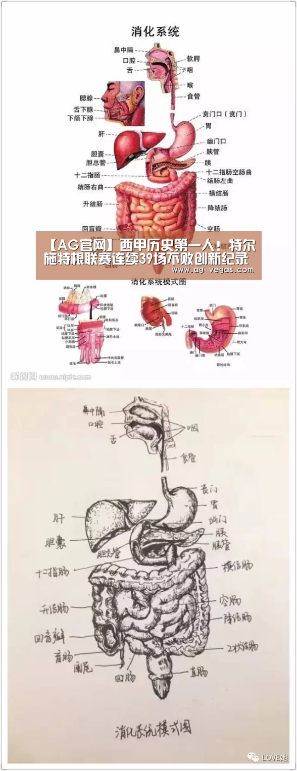【AG官网】西甲历史第一人!特尔施特根联赛连续39场不败创新纪录(图2) AG真人